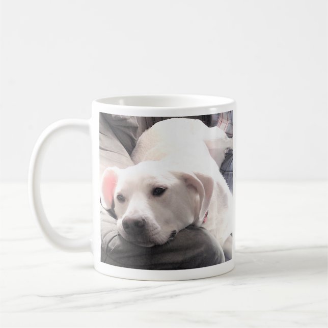 Cute Photo of White Puppy Dog Get Well Soon Coffee Mug (Left)