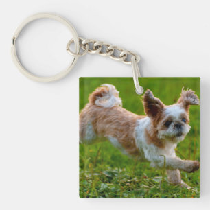 Cute Photo Running Shih Tzu Dog Key Ring