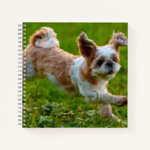Cute Photo Running Shih Tzu Dog Notebook