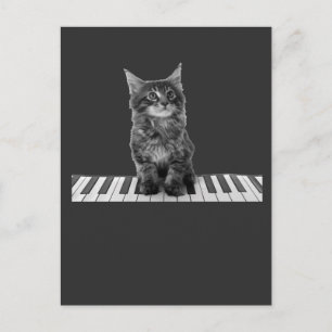 Cute Piano Cat Pianist Keyboard Player Postcard