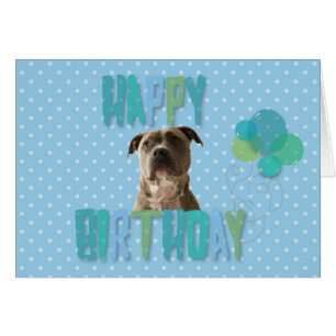 Cute Pibull Dog Happy Birthday Greeting Card