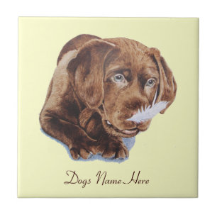 cute picture of brown labrador retriever puppy tile