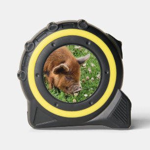 CUTE PIG 1
