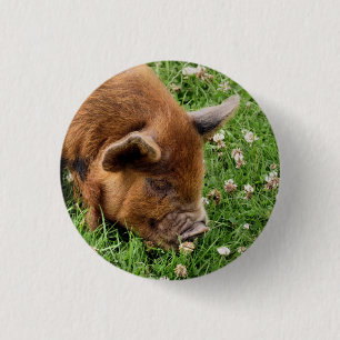 CUTE PIG  3 CM ROUND BADGE