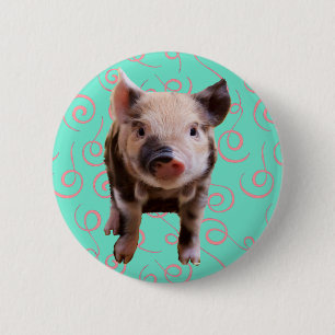 Cute Pig - Blue & Pink Swirls 6 Cm Round Badge