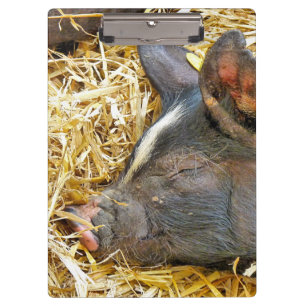 CUTE PIG CLIPBOARD