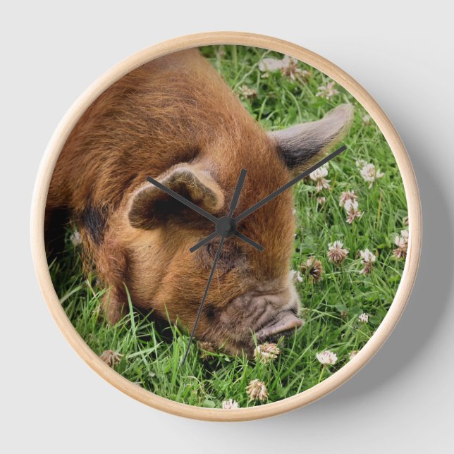 CUTE PIG   CLOCK (Front)