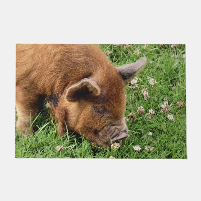 CUTE PIG  DOORMAT (Front)