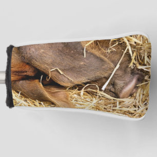 CUTE PIG GOLF HEAD COVER