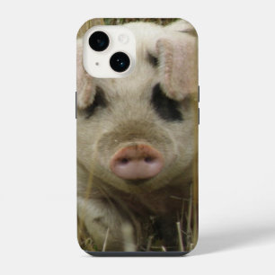 Cute Pig iPhone Case