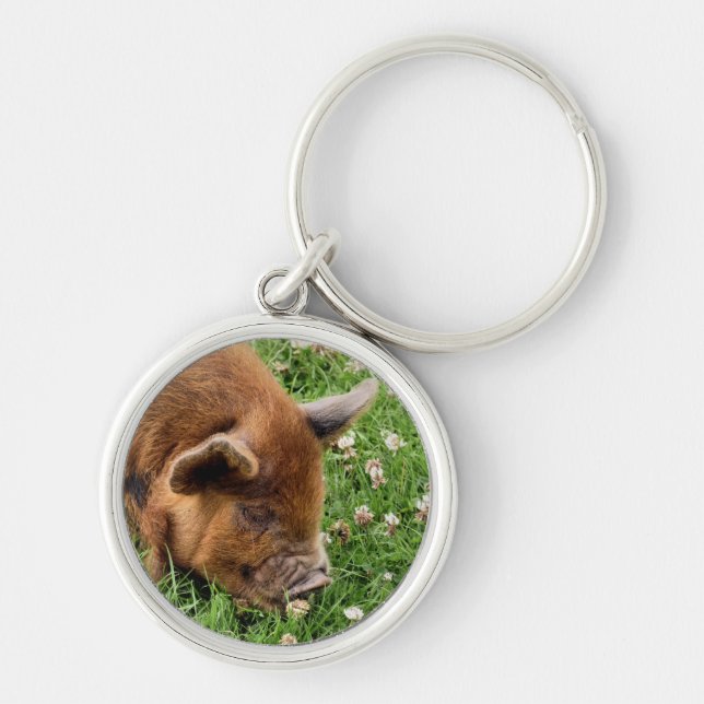 CUTE PIG  KEY RING (Front)