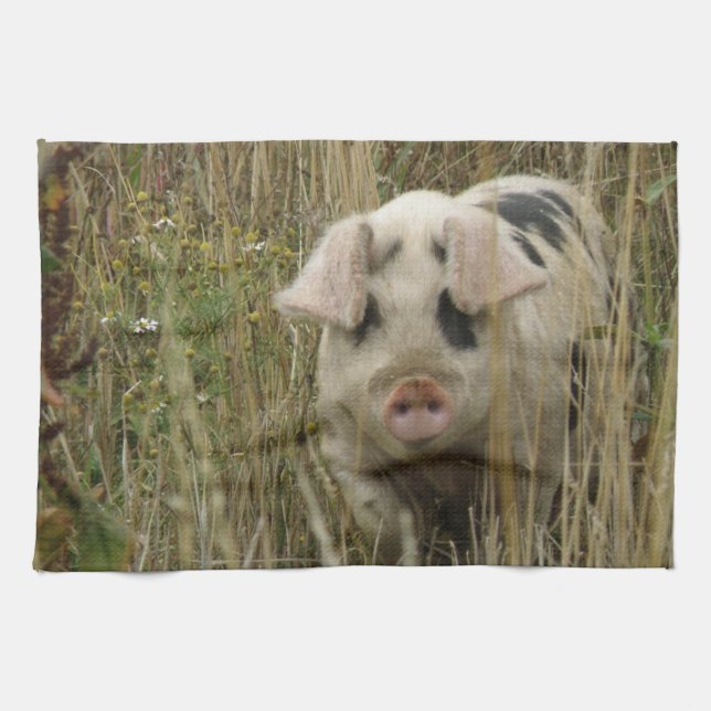 Cute Pig Kitchen Towel (Horizontal)