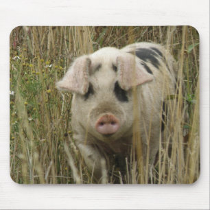 Cute Pig Mousepad