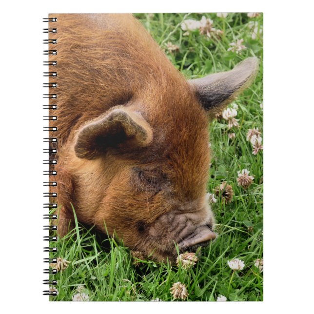 CUTE PIG   NOTEBOOK (Front)