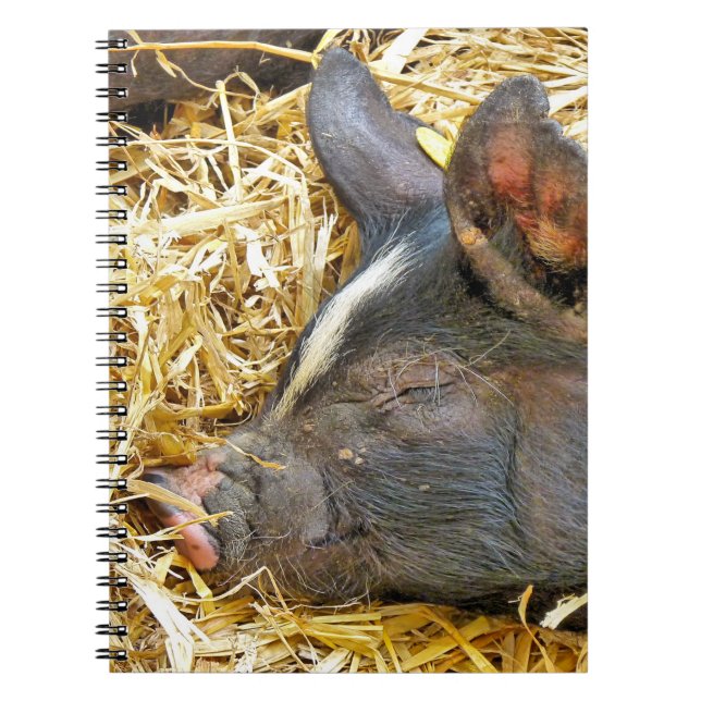 CUTE PIG NOTEBOOK (Front)