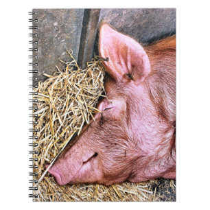 CUTE PIG NOTEBOOK
