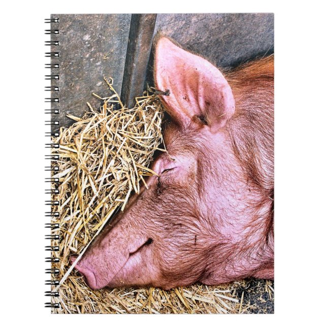 CUTE PIG NOTEBOOK (Front)