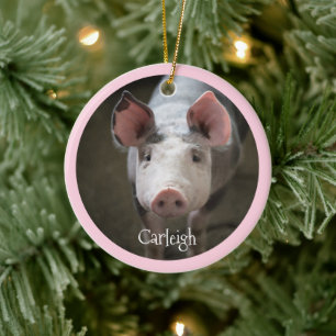 Cute Pig Personalised Ceramic Ornament