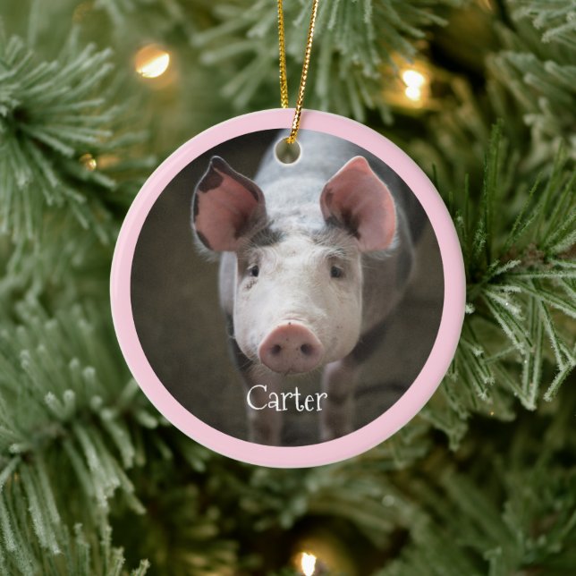 Cute Pig Personalised Ceramic Ornament (Tree)