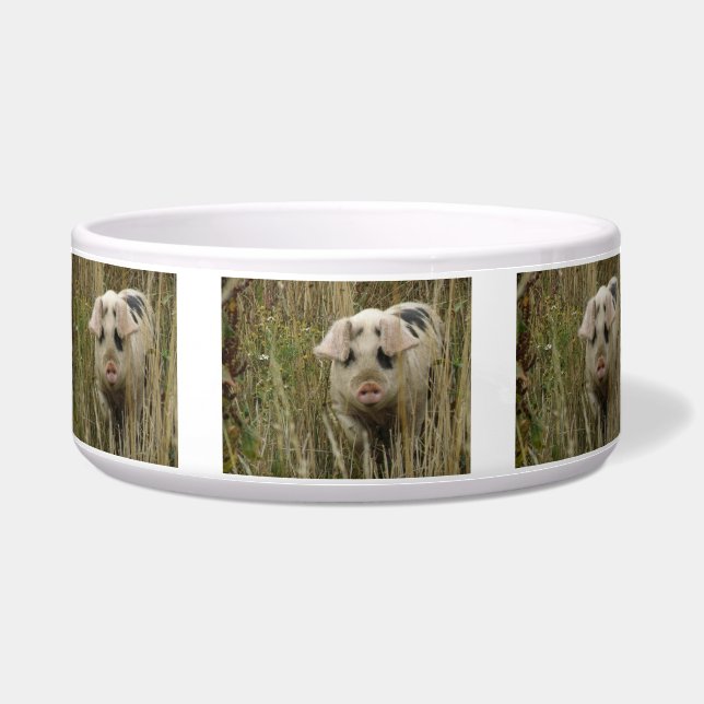 Cute Pig Pet Bowl (Front)