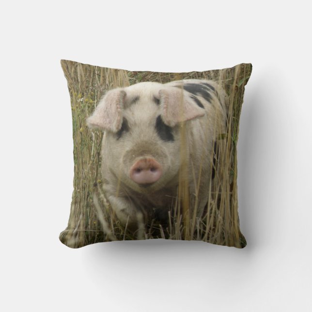 Cute Pig Pillow (Front)