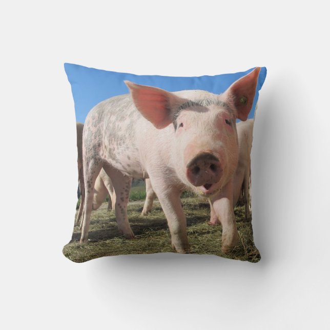 Cute Pig Pillow (Front)