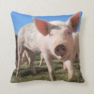 Cute Pig Pillow