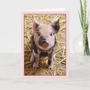 Cute Pig Pink Birthday Card