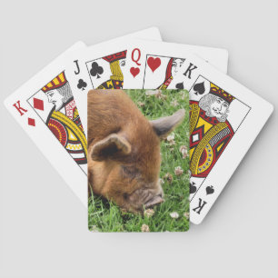 CUTE PIG    PLAYING CARDS