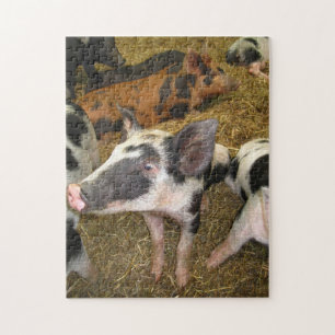 Cute Pig Puzzle