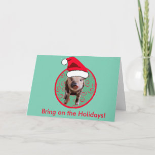 Cute Pig Santa - Teal and Red Holiday Card