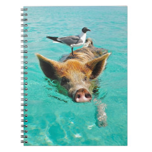 Cute pig swimming in water notebook