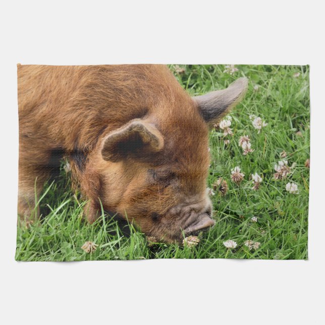 CUTE PIG   TEA TOWEL (Horizontal)