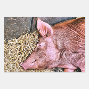 CUTE PIG WRAPPING PAPER SHEET