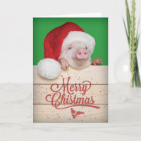 Cute Piggy Pudding Christmas Pig in Santa Hat