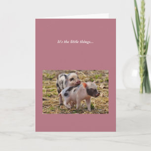Cute Piglets Pig Thank You Note Card