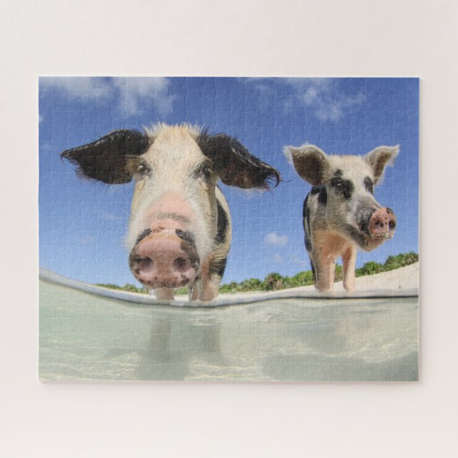 Cute Pigs on Beach Jigsaw Puzzle (Horizontal)