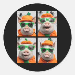 Cute Pigs with Sunglasses Pumpkin Costume Funny Classic Round Sticker