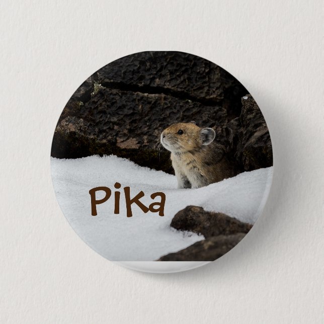 Cute Pika in the Snow Photo 6 Cm Round Badge (Front)