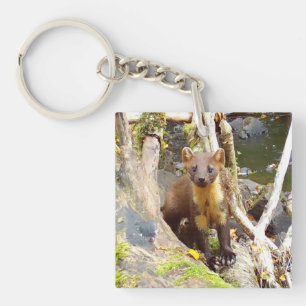 Cute Pine Marten on Fallen Tree Key Ring