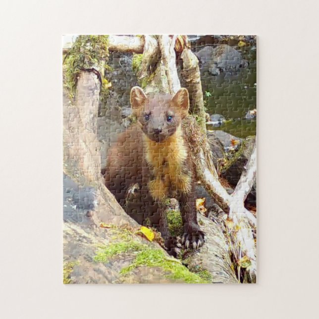 Cute Pine Marten on Log Woodland Wildlife  Jigsaw Puzzle (Vertical)