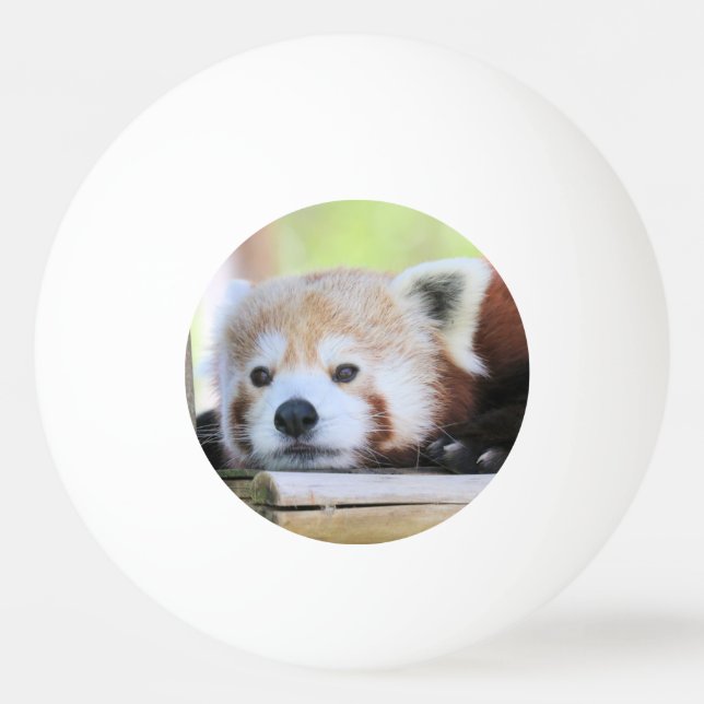 Cute Ping Pong Ball (Back)