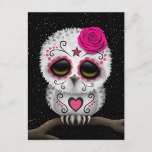 Cute Pink Day of the Dead Sugar Skull Owl Stars Postcard