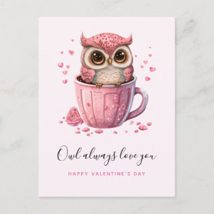 Cute Pink Owl in a Cup Valentine's Day Postcard