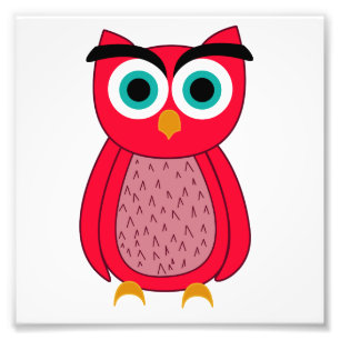 Cute Pink Owl Photo Print