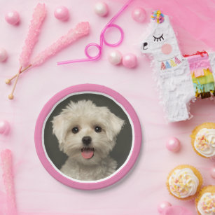 Cute Pink Pet Photo Birthday Paper Plates