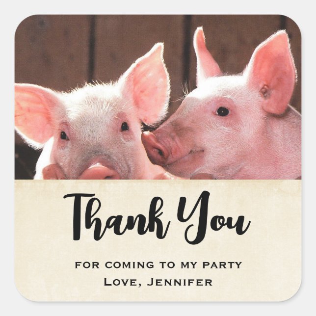 Cute Pink Piglets Animal Photo Party Thank You Square Sticker (Front)