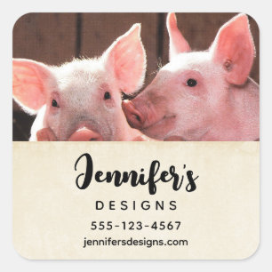 Cute Pink Piglets Animal Photograph Business Square Sticker