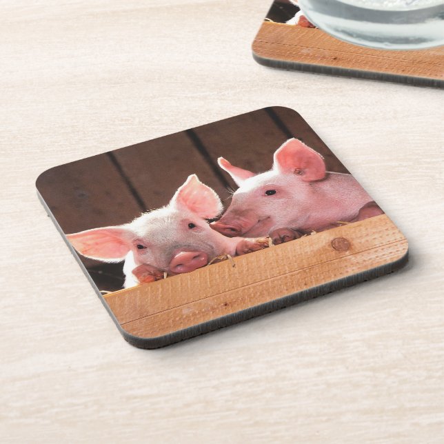 Cute Pink Piglets Animal Photograph Coaster (Left Side)