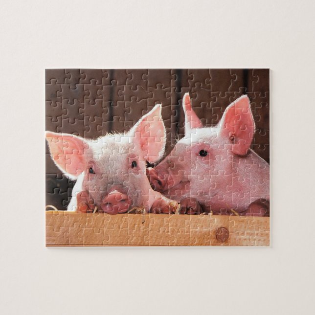 Cute Pink Piglets Animal Photograph Jigsaw Puzzle (Horizontal)